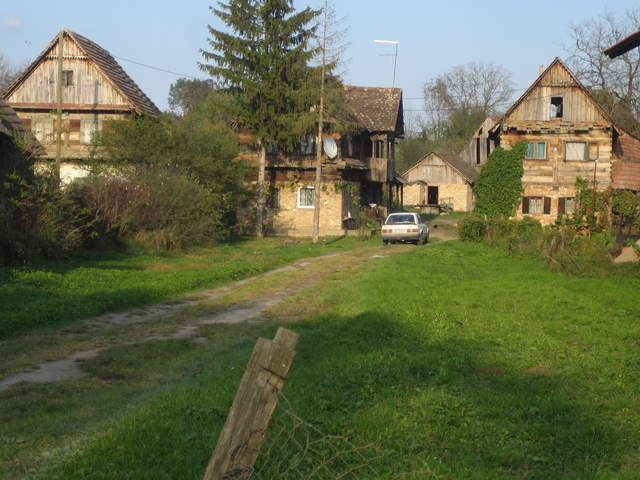 IMG_3309.JPG