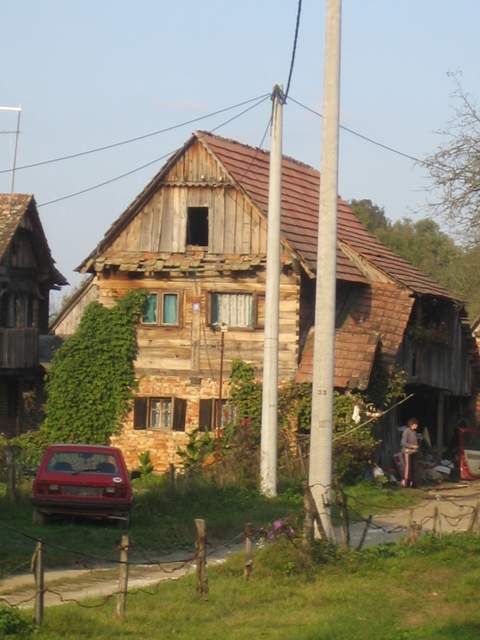IMG_3310.JPG