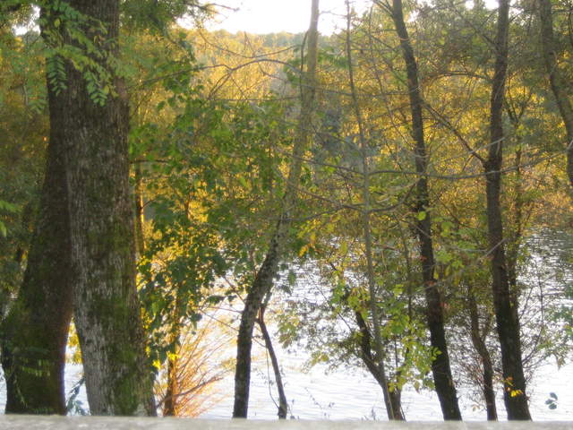 IMG_3323.JPG