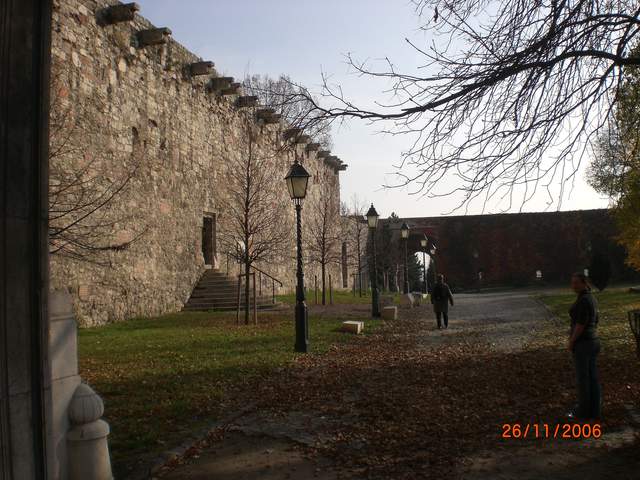 CIMG0246.JPG