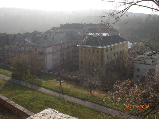 CIMG0249.JPG
