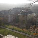 CIMG0249.JPG