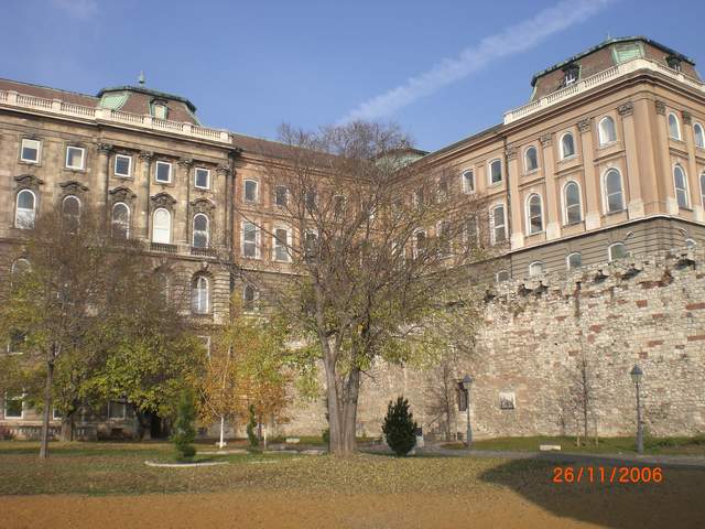 CIMG0251.JPG