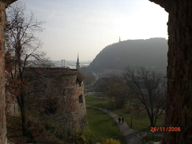 CIMG0253.JPG
