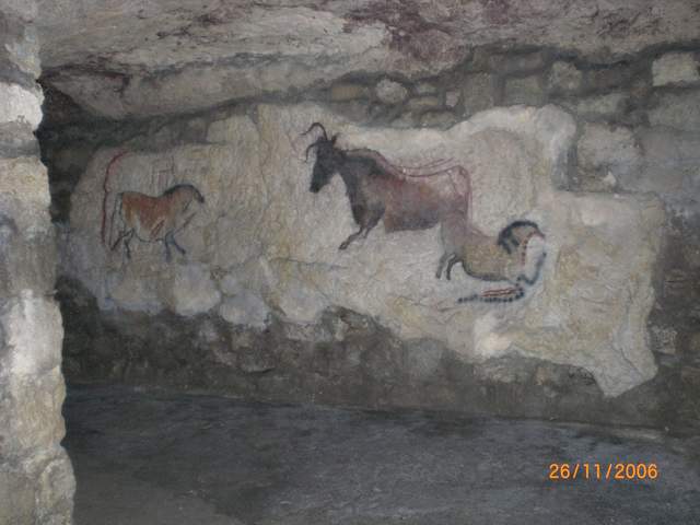 CIMG0277.JPG