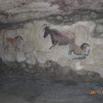 CIMG0277.JPG