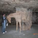 CIMG0279.JPG