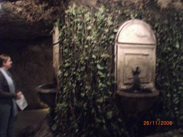 CIMG0284.JPG