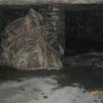 CIMG0286.JPG