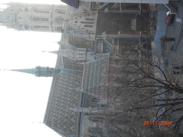 CIMG0302.JPG