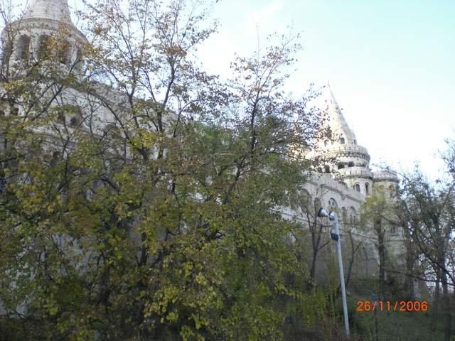 CIMG0308.JPG