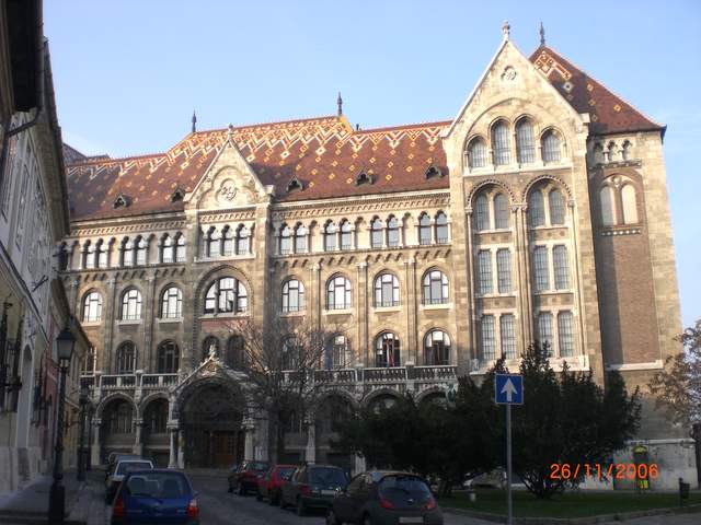 CIMG0310.JPG