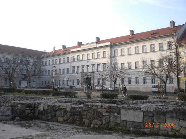 CIMG0317.JPG