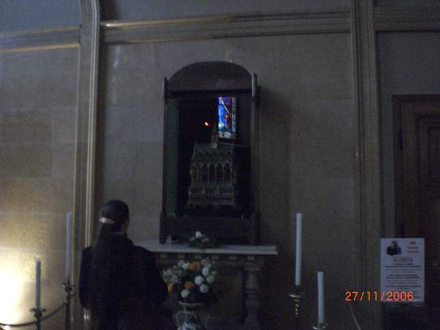 CIMG0338.JPG