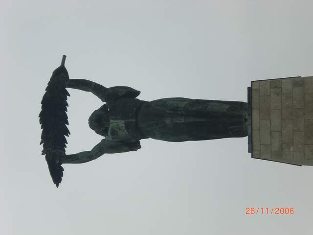 CIMG0386.JPG