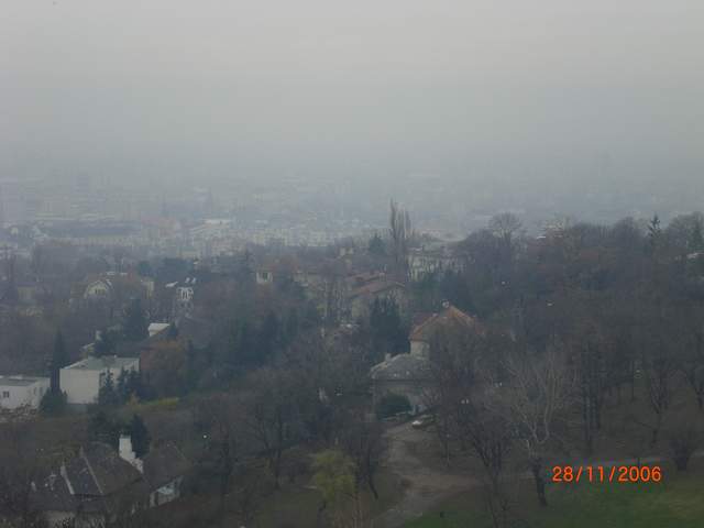 CIMG0387.JPG