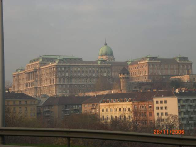 CIMG0401.JPG