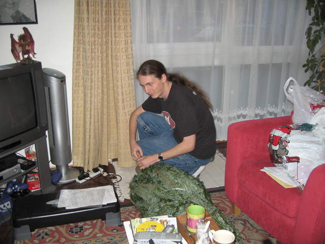 Kev undoing the tree