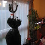 Wrapped christmas tree