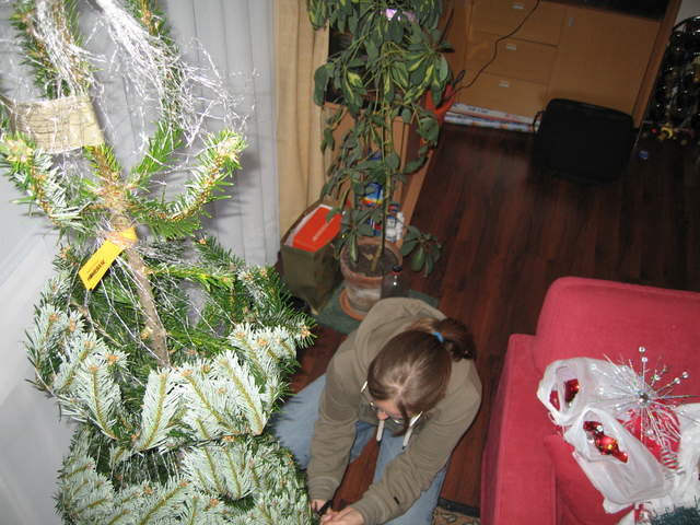 Ali releasing the tree