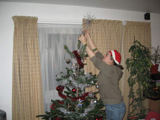 Ali putting the star on the tree