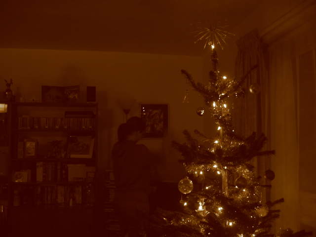 Christmas Tree