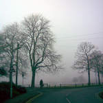 Foggy Watford