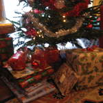 Presents under the tree