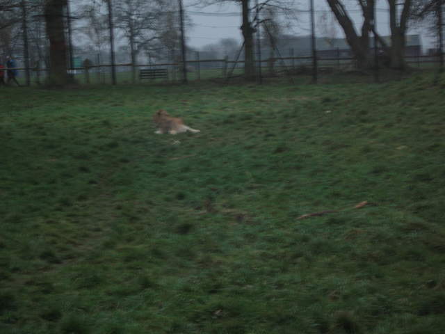 IMG_0223.JPG