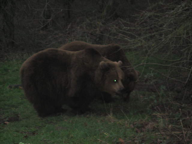 IMG_0203.JPG