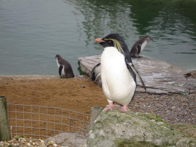 IMG_0195.JPG