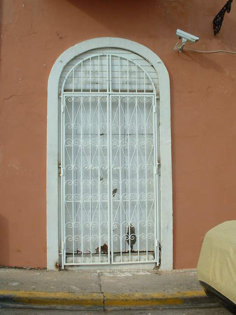 I found this door on Recinto Sur Street to be pretty