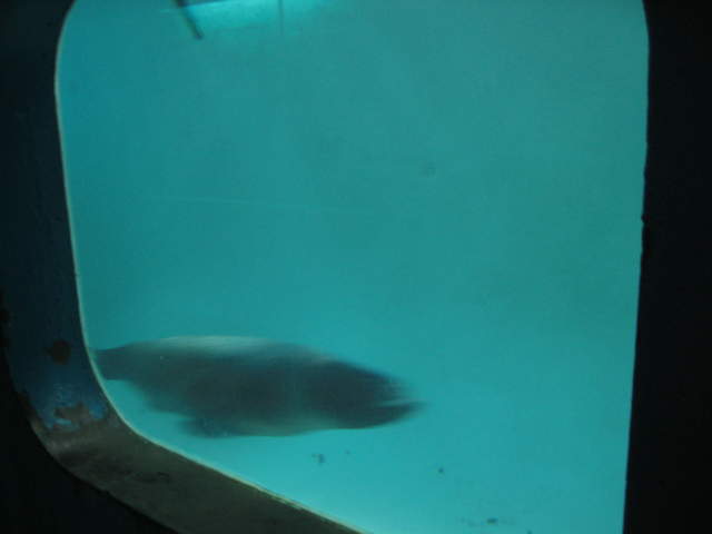 IMG_0155.JPG