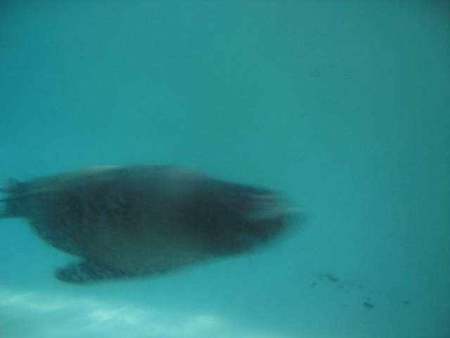 IMG_0146.JPG
