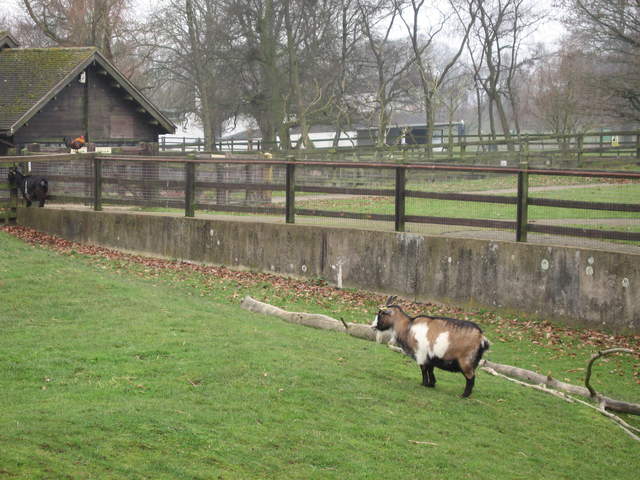 IMG_0116.JPG