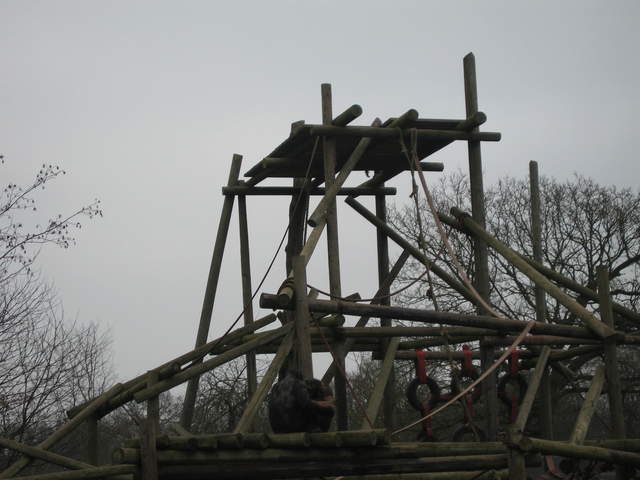 IMG_0101.JPG