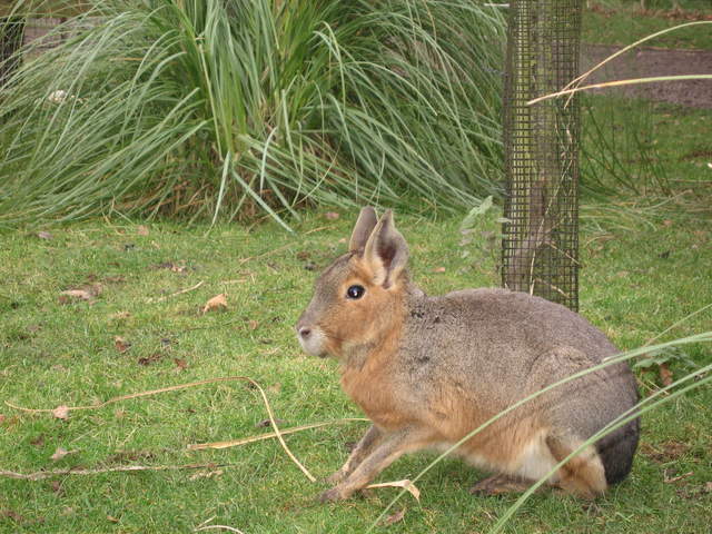 IMG_0099.JPG