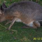 100_0051.JPG