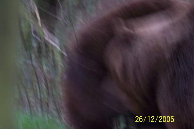 100_0153.JPG