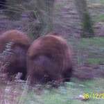 100_0152.JPG