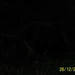 100_0151.JPG
