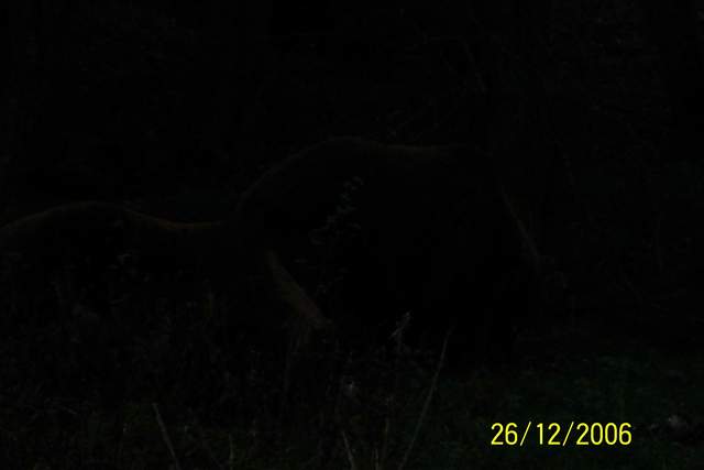 100_0151.JPG