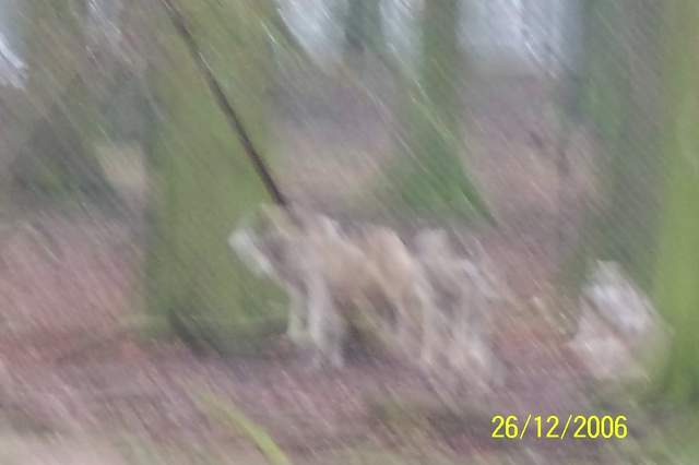 100_0126.JPG