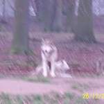 100_0125.JPG