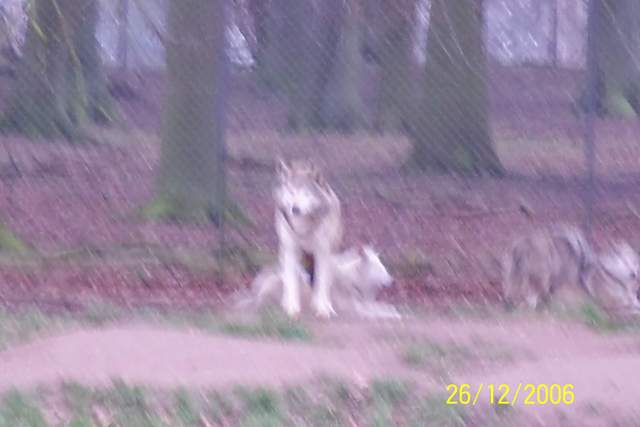 100_0125.JPG