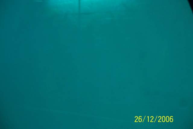 100_0110.JPG