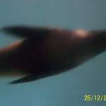 100_0107.JPG