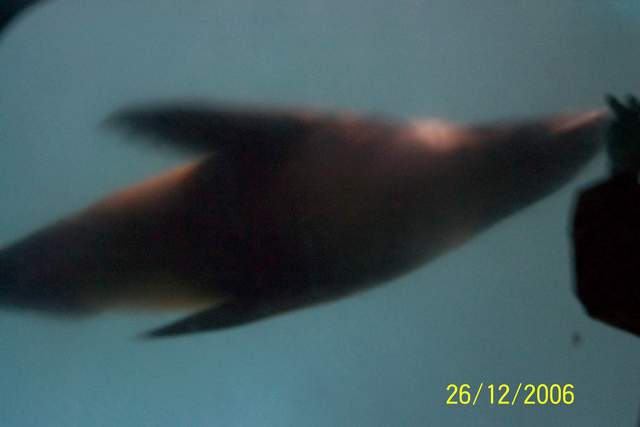100_0107.JPG