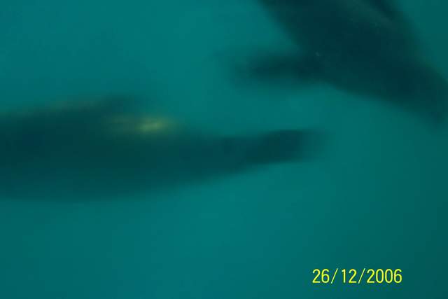 100_0105.JPG