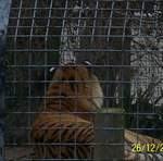 100_0103.JPG